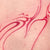 Nakkab Tattoos