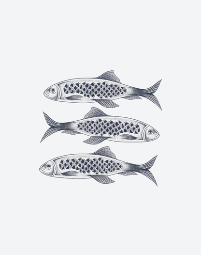 3Fish
