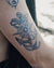 Anchored