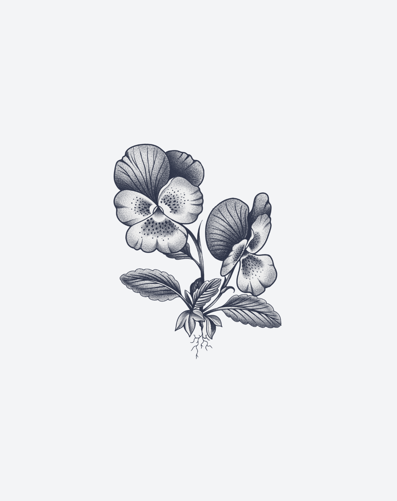 Echo of Spring