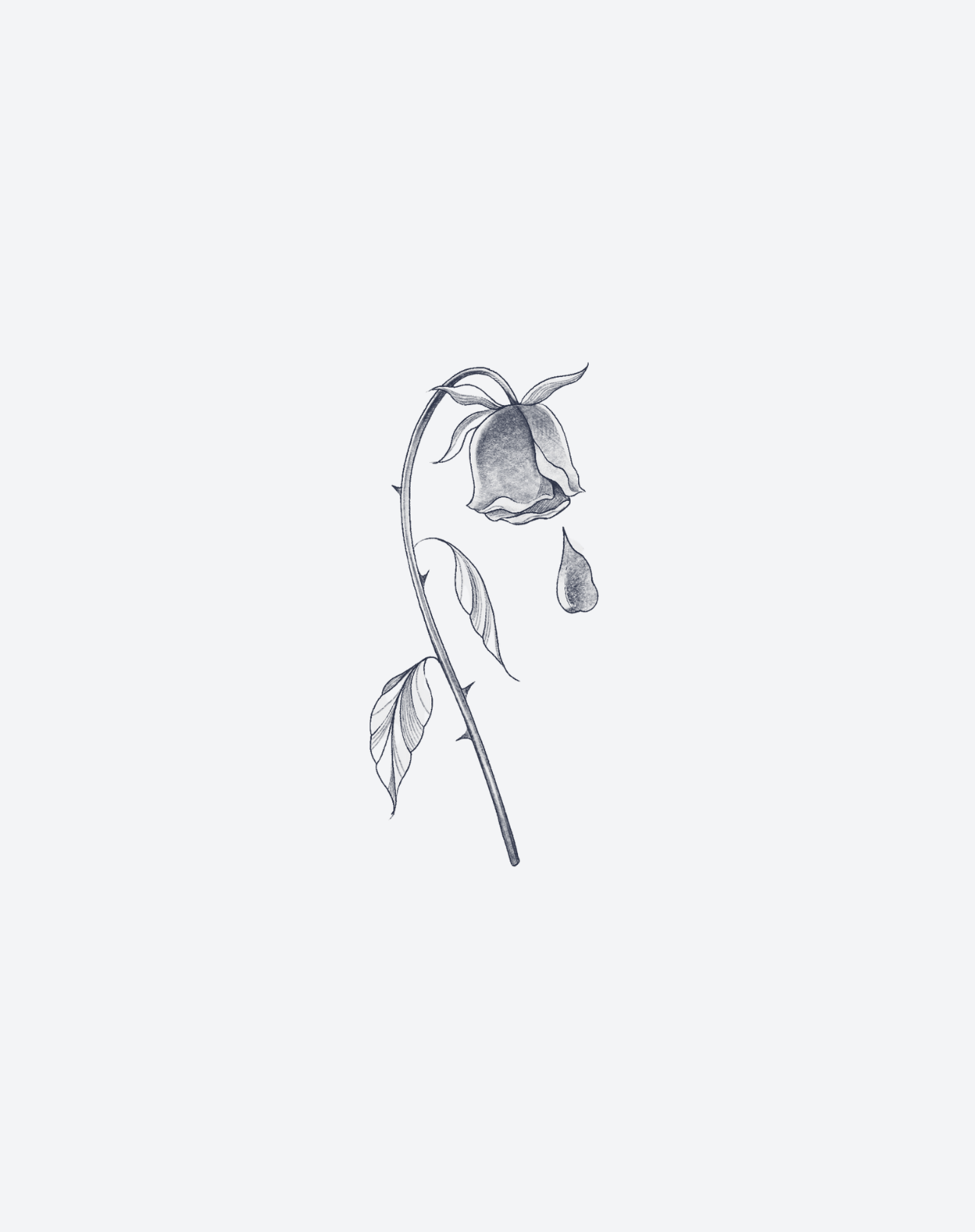 End of Bloom
