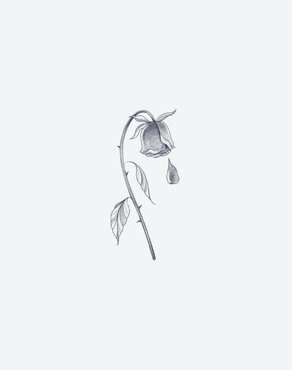 End of Bloom