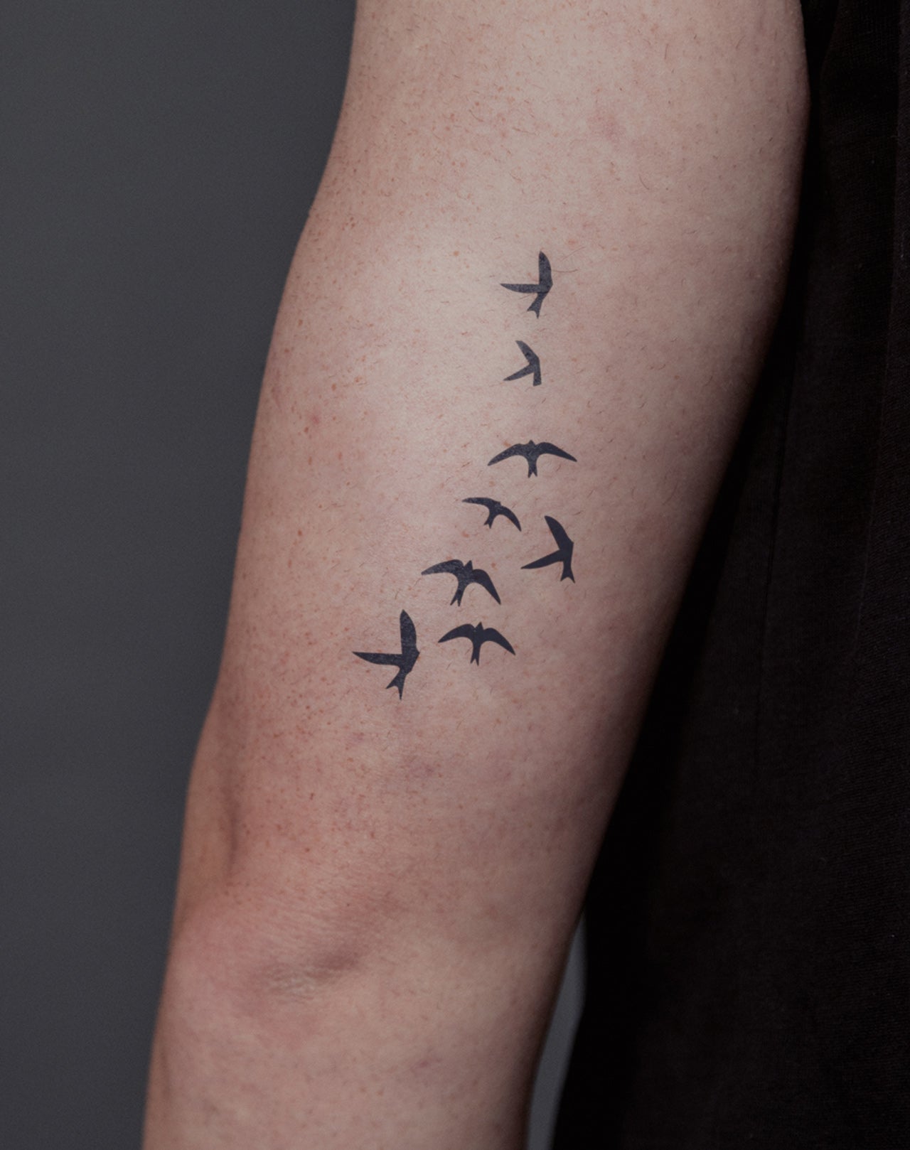 Flying Birds