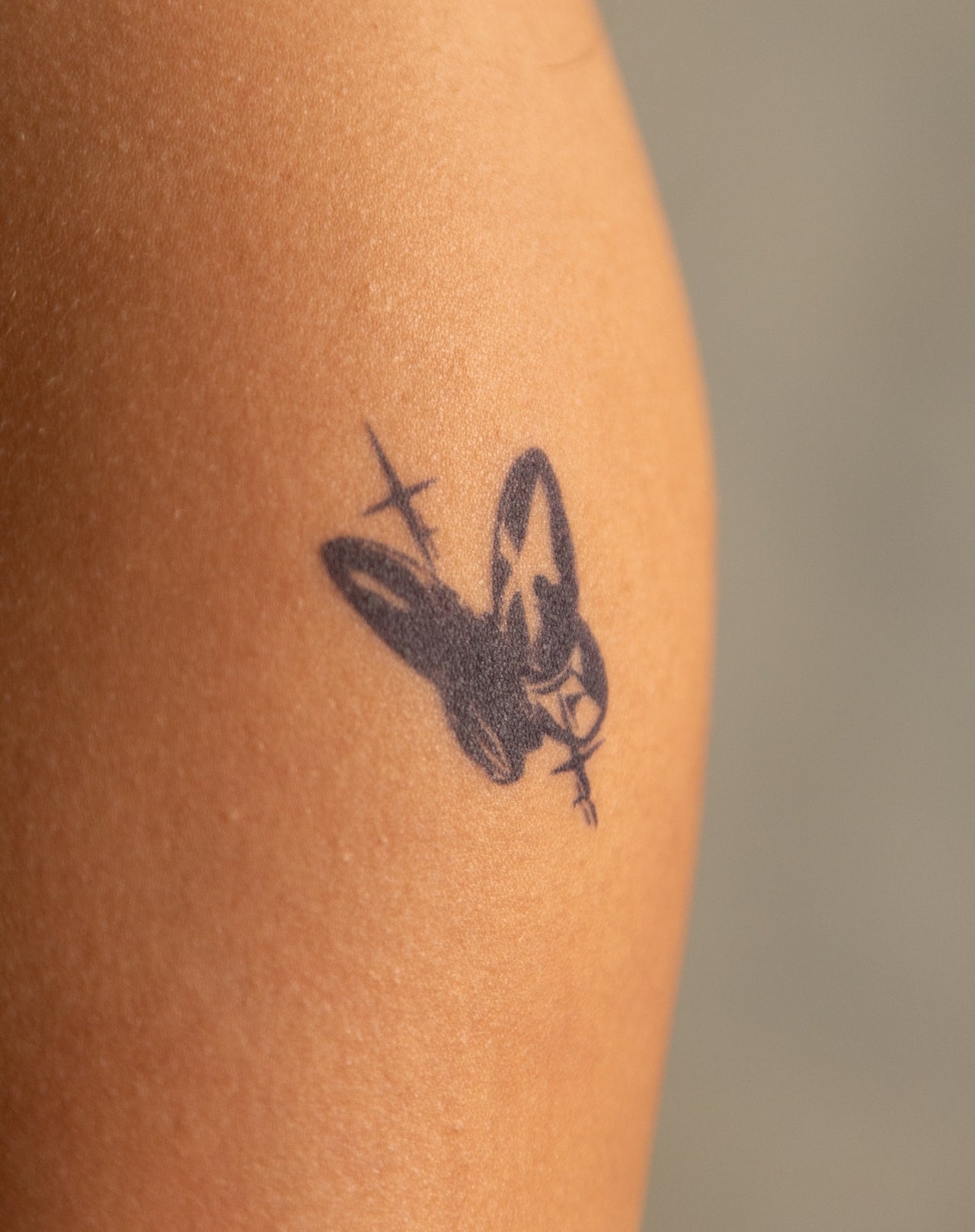Galaxy Butterfly