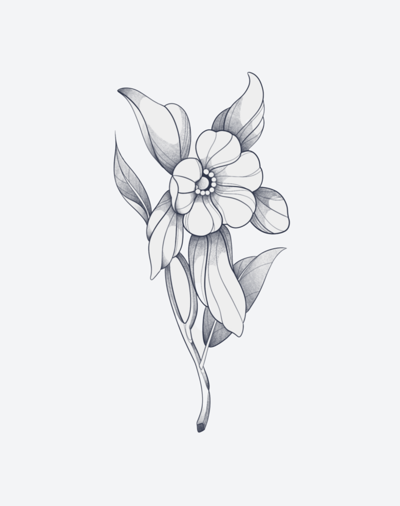 Honeysuckle