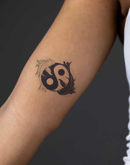 Koi's Peace