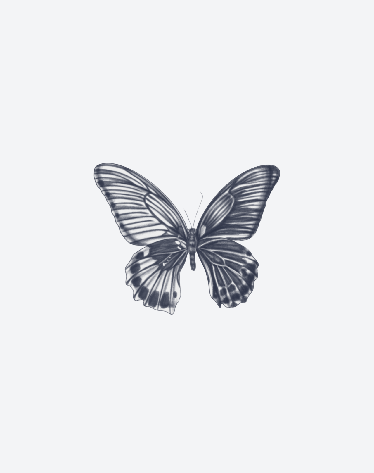 Nocturne in Flight