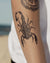 Sand Devil