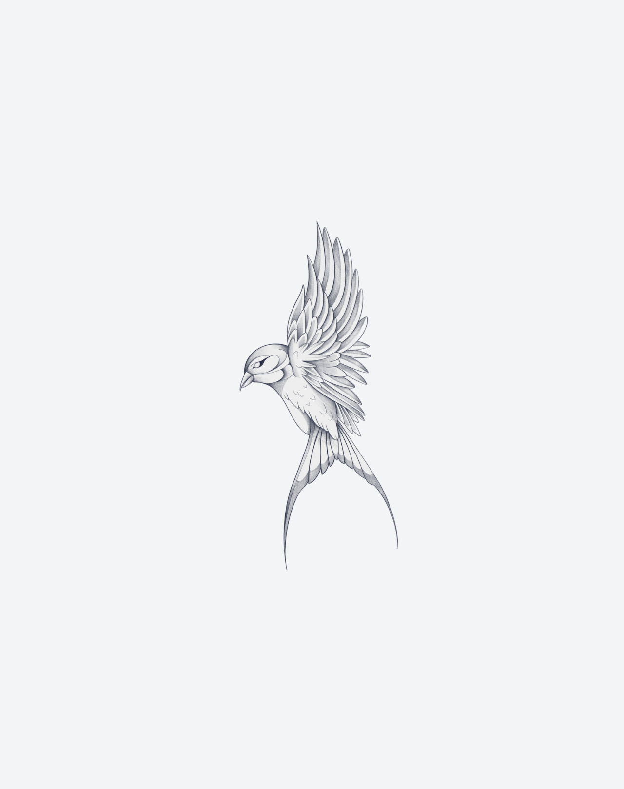 Soars