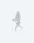 Soars