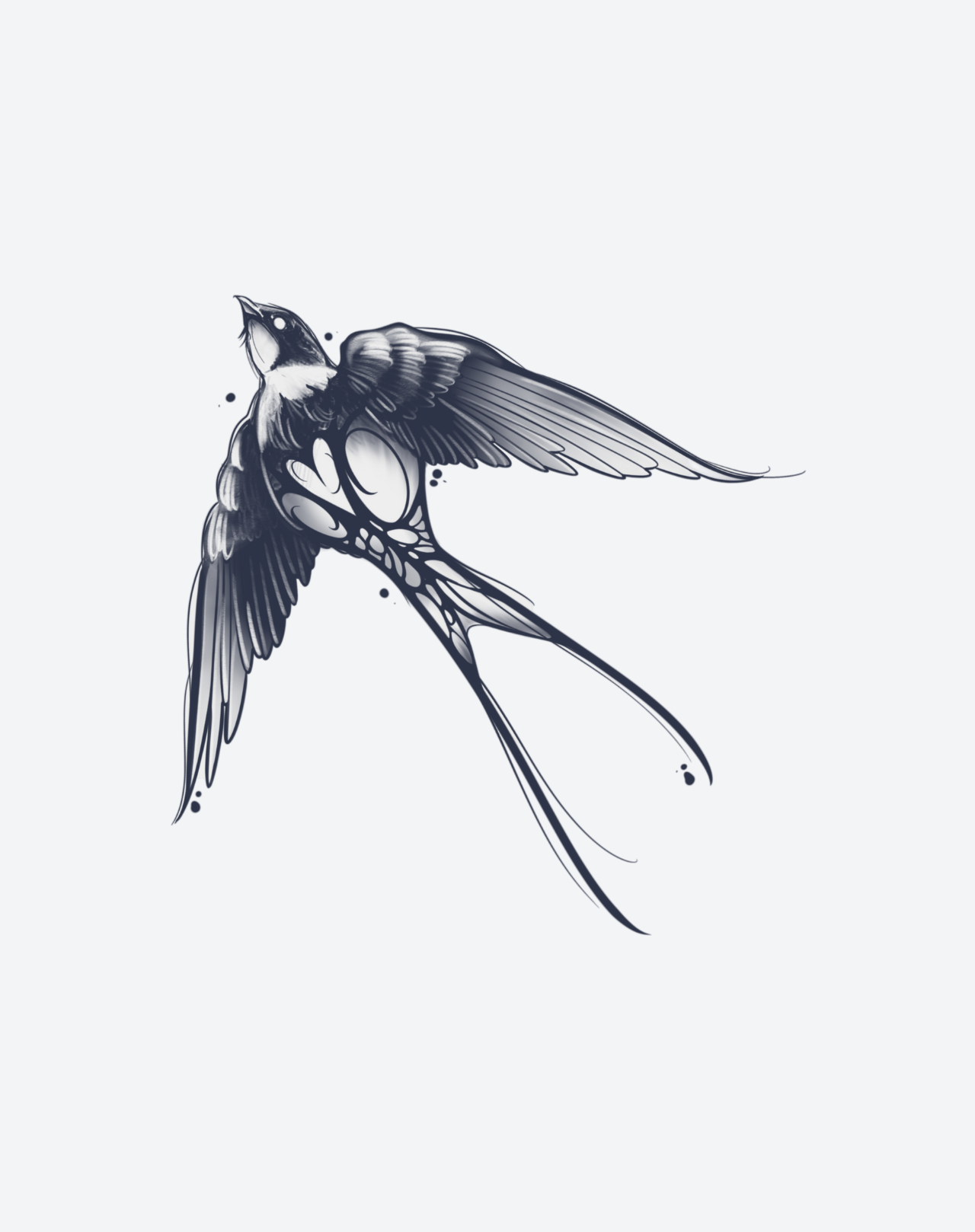 Soar