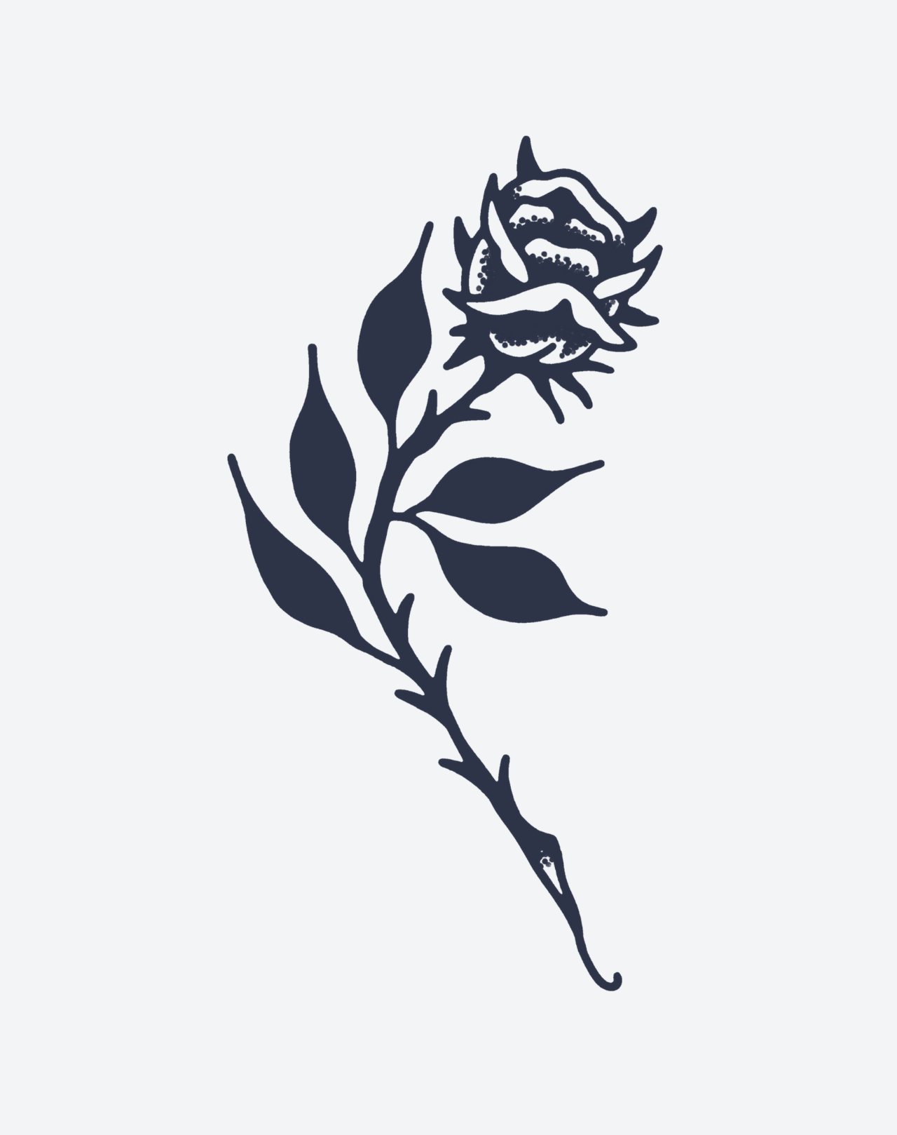 Spiked Rose