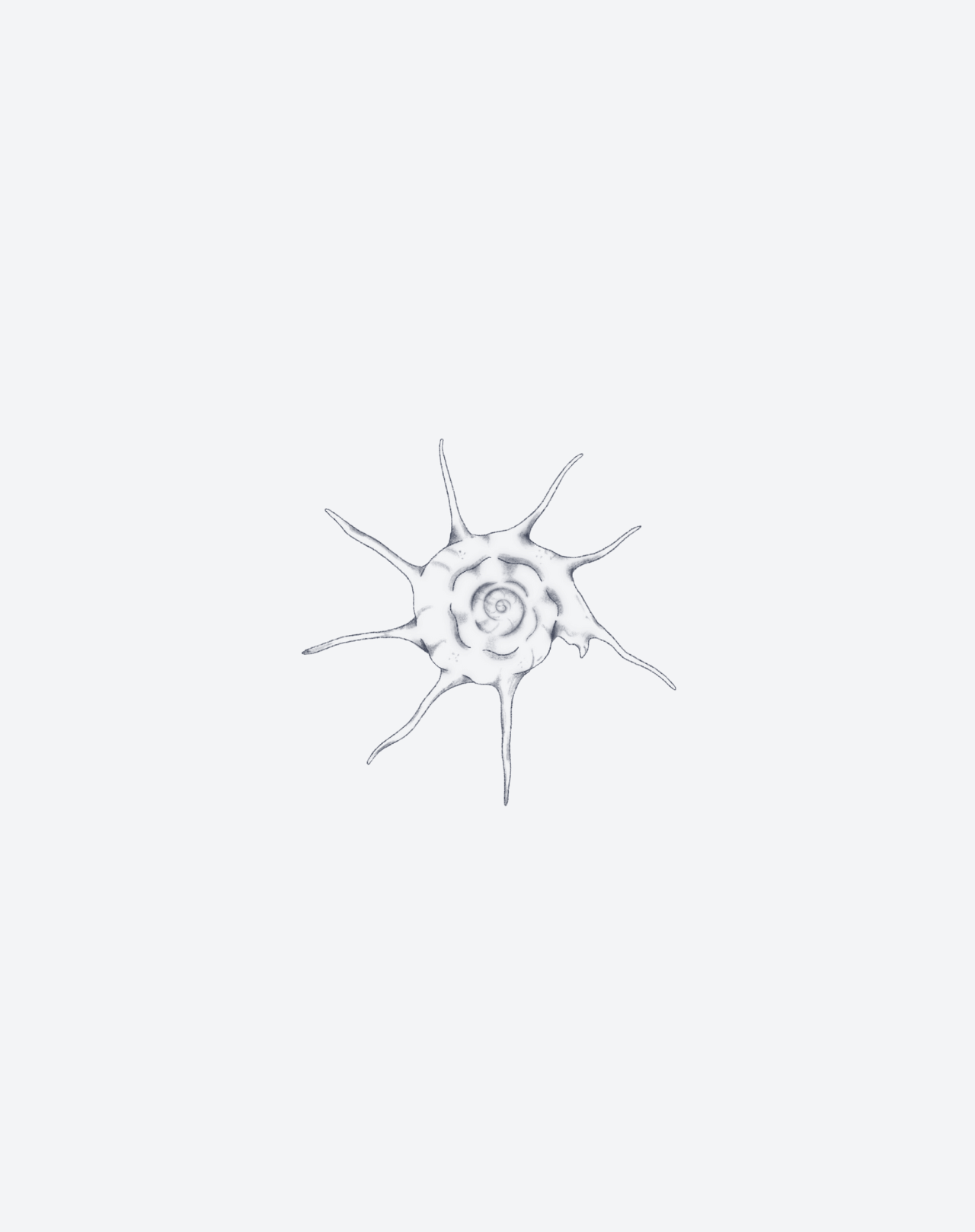 Spiral of Time