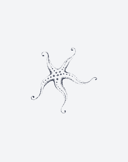 Star of the Sea