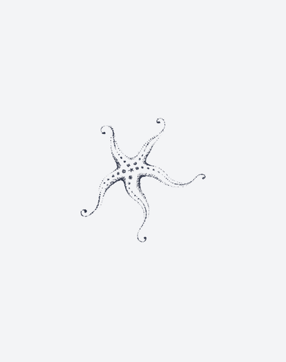 Star of the Sea
