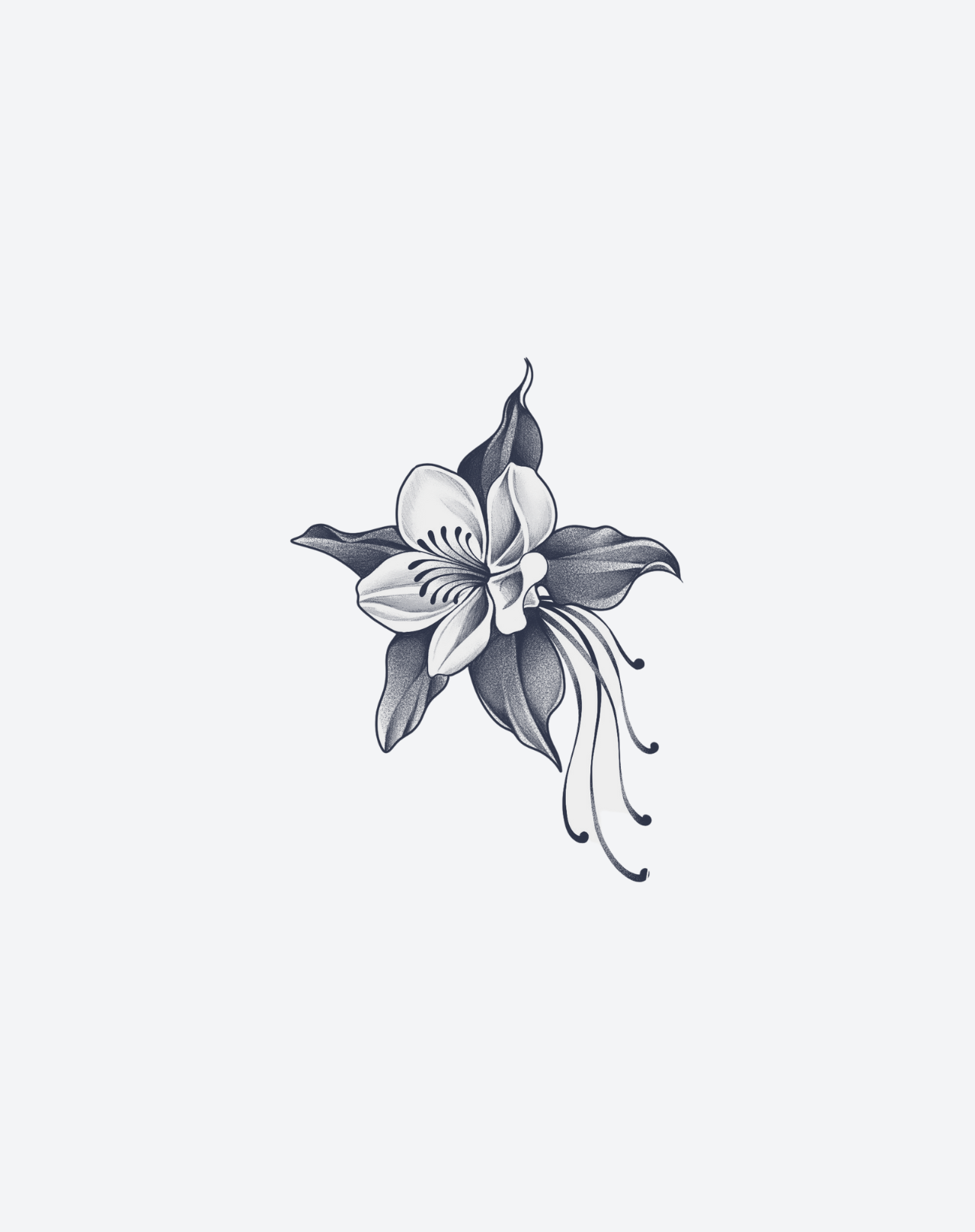 Twilight Lily
