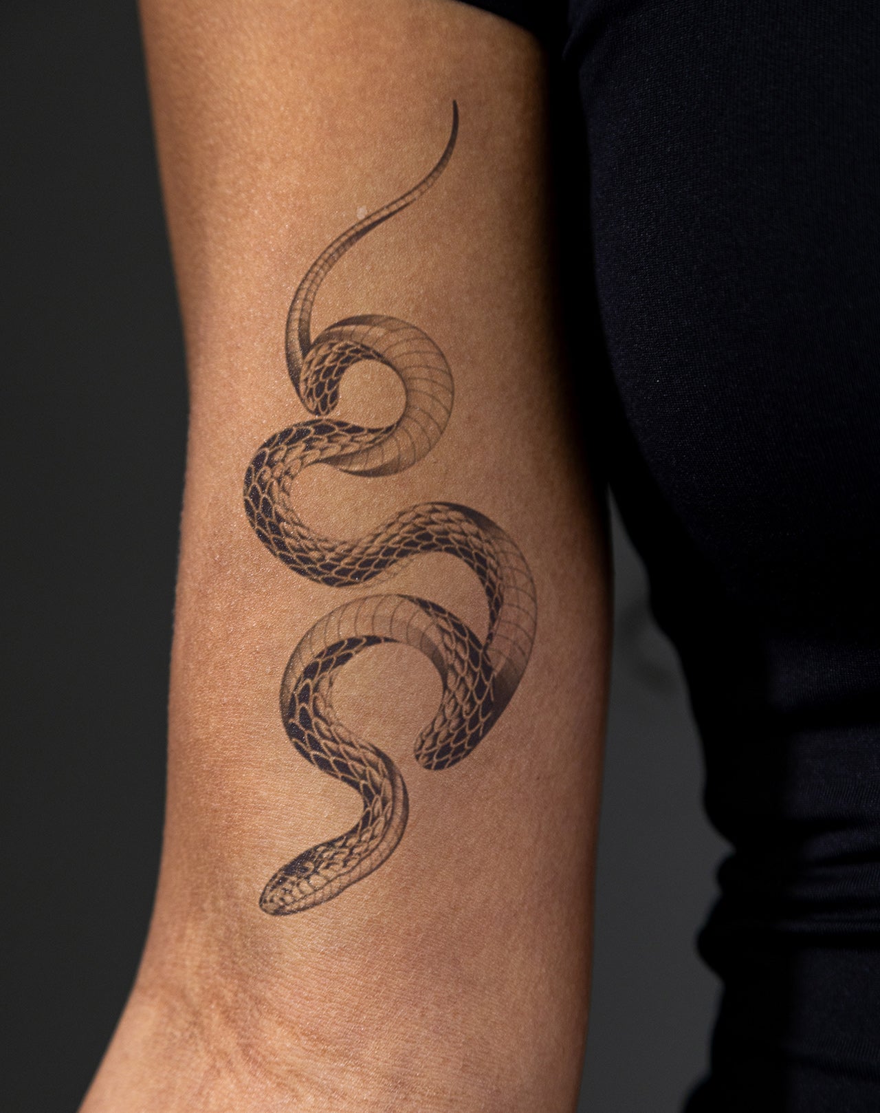 Twisting Guardian