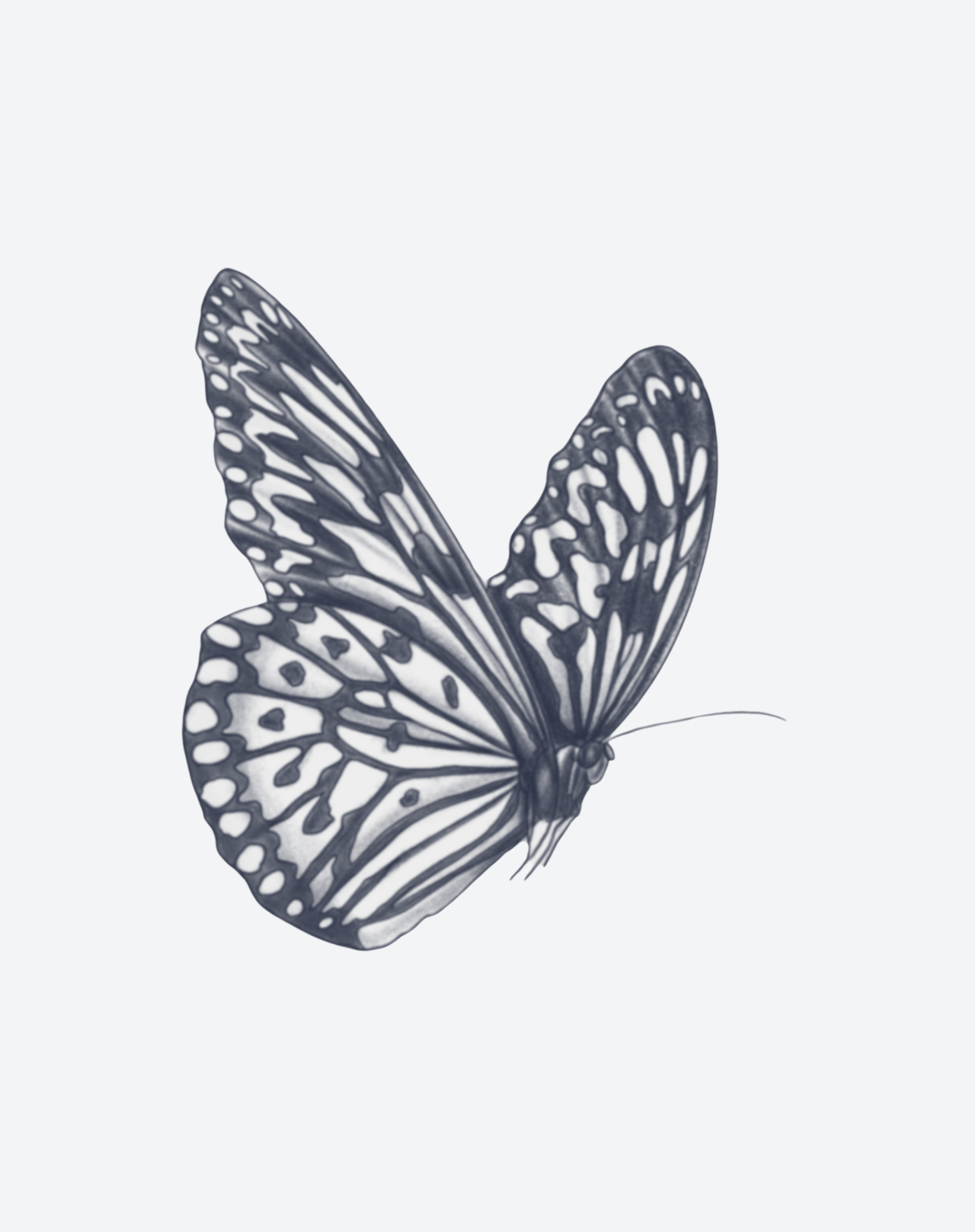 Winged Whimsy
