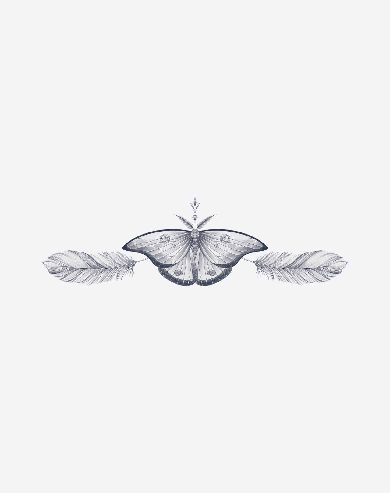 Wings Within